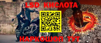 кокс Кандалакша