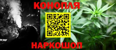 шишки Кингисепп