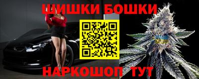 шишки Кингисепп