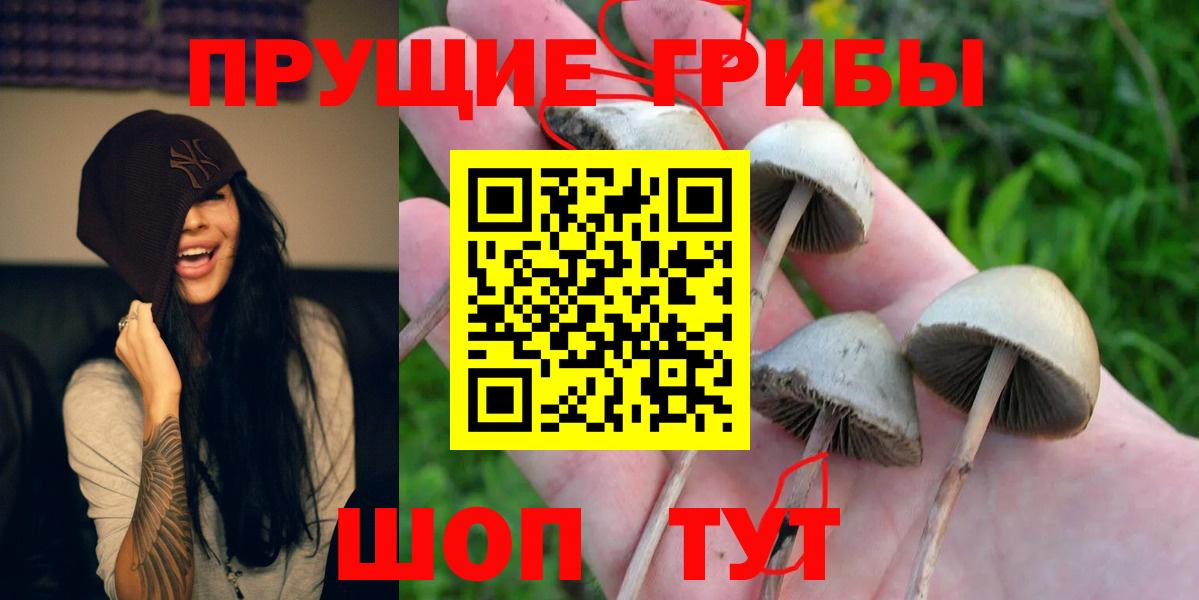 Галлюциногенные грибы Cubensis  Вход с VPN  Псилоцибиновые грибы GOLDEN TEACHER  дарнет шоп  Лабинск 