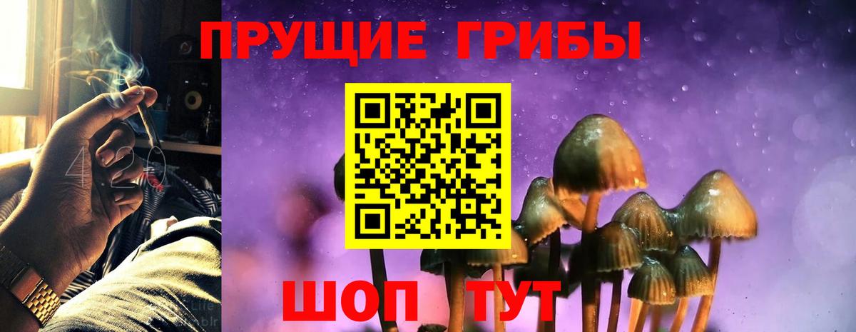 Псилоцибиновые грибы мухоморы Лабинск